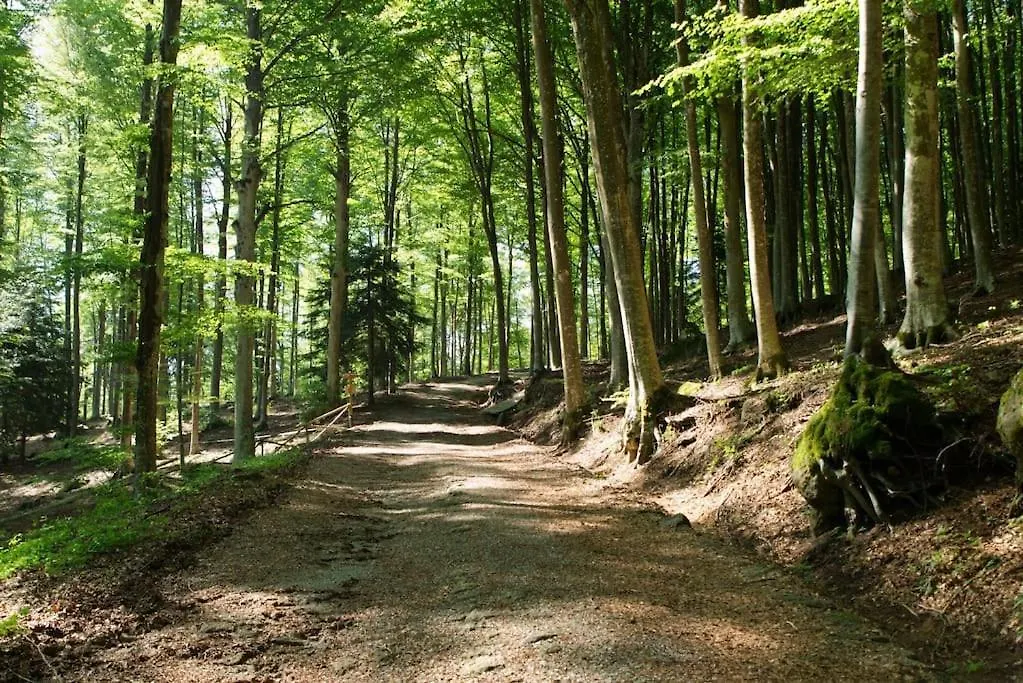 Appartamento 4 Pasqua In Accogliente Rifugio Di Montagna Con Internet Privato E Parcheggio Gratuito - Nuova Gestione Castel del Piano   Castel del Piano (Tuscany)